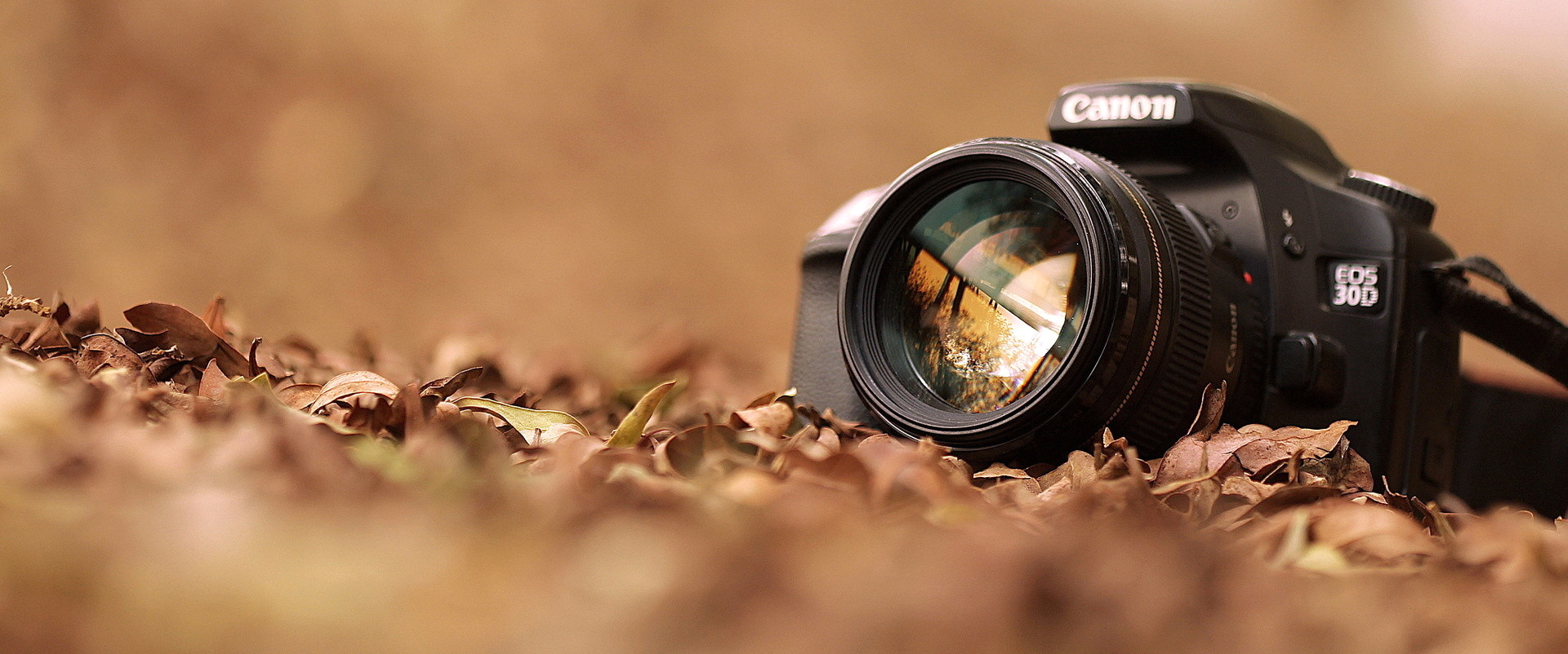 Professional & Bespoke Creative Media Services Catering for Both Personal & Business Needs.